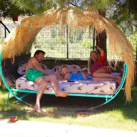Stonehouse * Selcuk