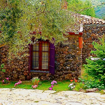 Stonehouse Guest house *