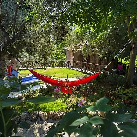 Stonehouse * Selcuk