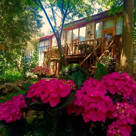 Stonehouse * Selcuk