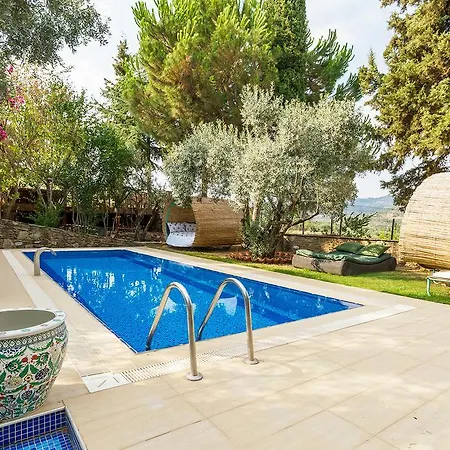 Stonehouse Selcuk