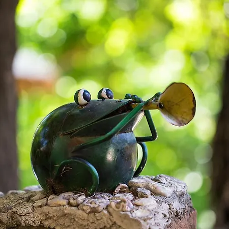 Stonehouse Gæstehus